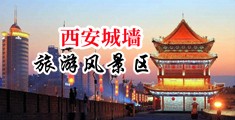 插插屌中国陕西-西安城墙旅游风景区